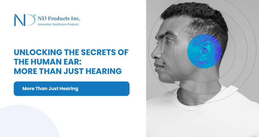 Unlocking the Secrets of the Human Ear: More Than Just Hearing
