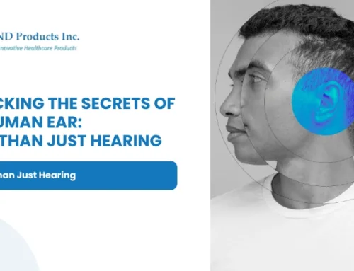 Unlocking the Secrets of the Human Ear: More Than Just Hearing